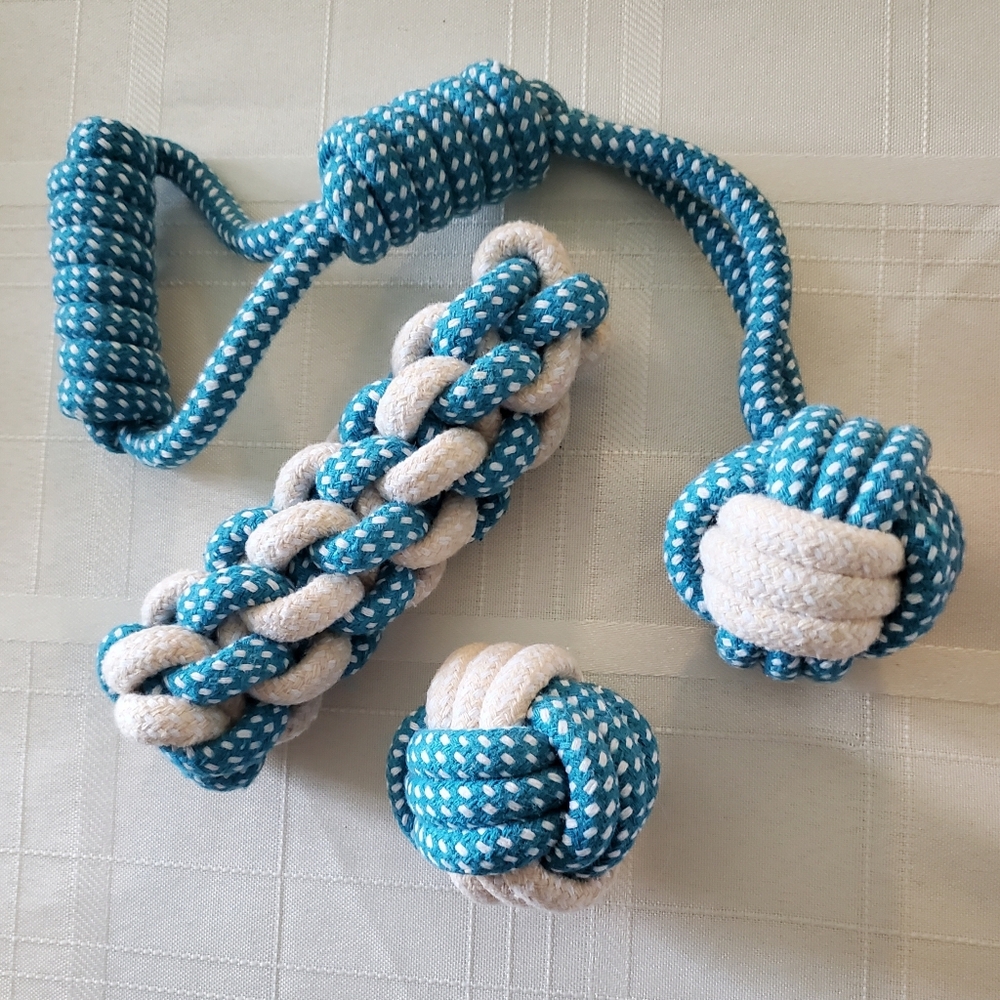 Braided Rope Dog Toy Set in Blue and White